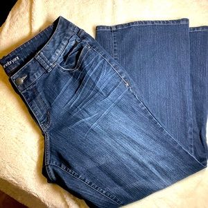 Lane Bryant Lightly Flared size 14P